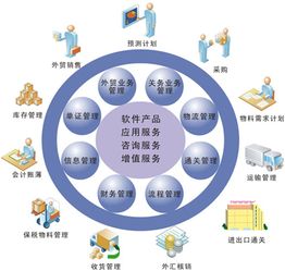 NetSuite 解決傳統(tǒng)計(jì)算機(jī)系統(tǒng)服務(wù)無法觸及的痛點(diǎn)